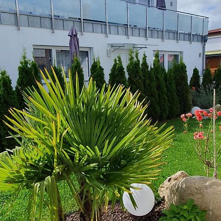 Ferienwohnungen "Godewind", Appartements Mit Balkon Oder Terrasse Цинновиц Экстерьер фото