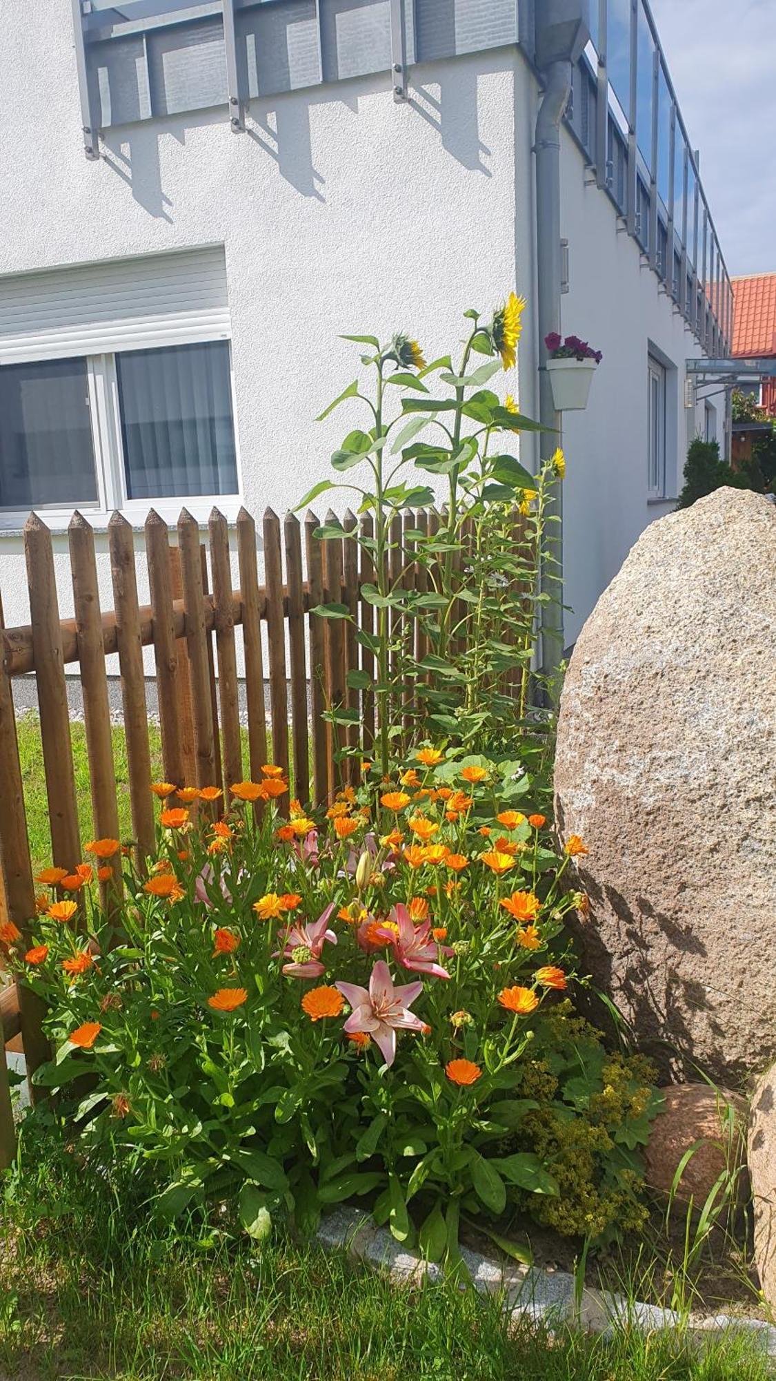 Ferienwohnungen "Godewind", Appartements Mit Balkon Oder Terrasse Цинновиц Экстерьер фото