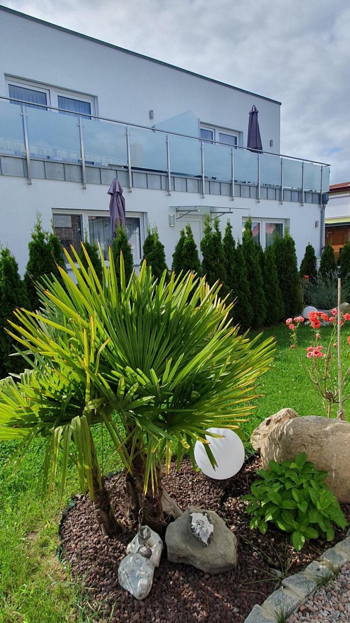 Ferienwohnungen "Godewind", Appartements Mit Balkon Oder Terrasse Цинновиц Экстерьер фото
